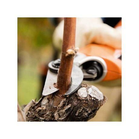 Акумуляторний секатор STIHL ASA 85 (48610116200)