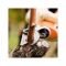 Акумуляторний секатор STIHL ASA 85 (48610116200)