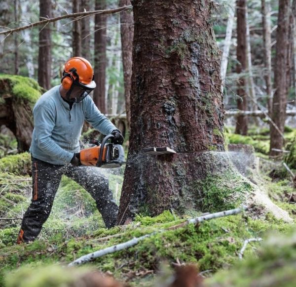 Бензопила STIHL MS 462 (11422000001)