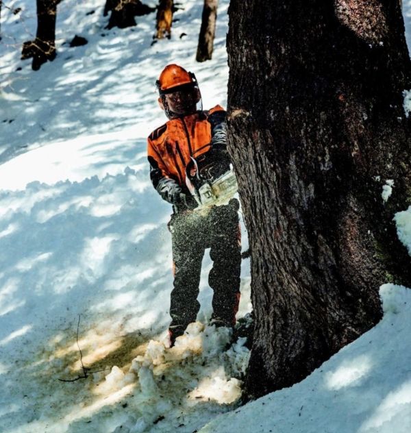 Бензопила STIHL MS 462 (11422000001)