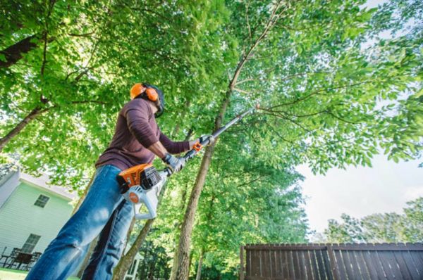 Висоторіз бензиновий STIHL HT 135 (41822000198)