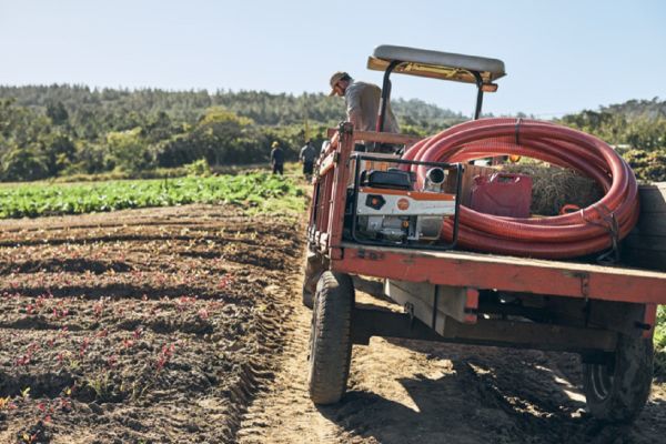 Бензиновая мотопомпа STIHL WP 600 (VB040112000)