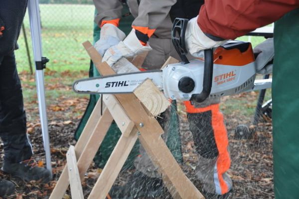 Акумуляторна пилка STIHL MSA 120 C-BQ (12540115874)