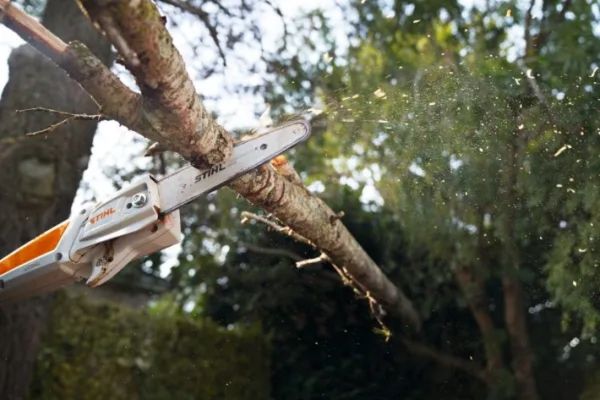 Висоторіз акумуляторний STIHL HTA 50 (LA020116404)