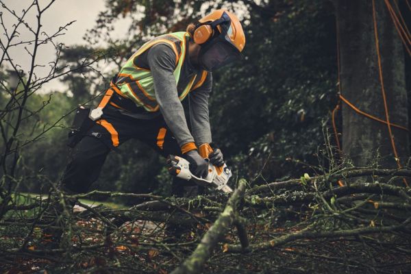 Направляющая шина STIHL LIGHT 01, 20 см, 1/4"P, 1.1 мм, 44 z (30080000203)