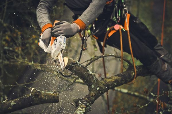 Направляющая шина STIHL LIGHT 01, 20 см, 1/4"P, 1.1 мм, 44 z (30080000203)