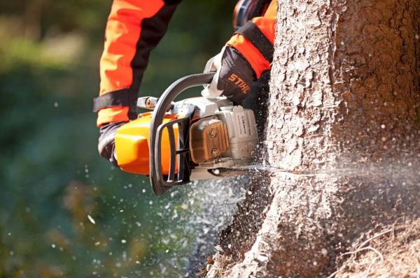 Бензопила STIHL MS 363 (MB012000051)